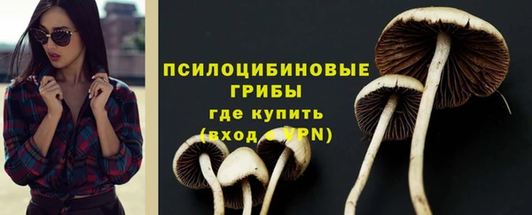 прущие крисы Костерёво