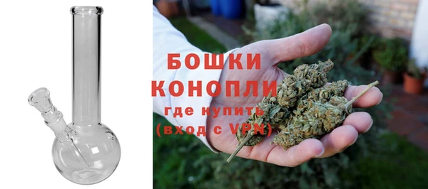 прущие крисы Костерёво
